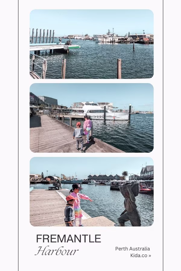Fremantle Boat Harbour Perth Australia Things To Do Attraction