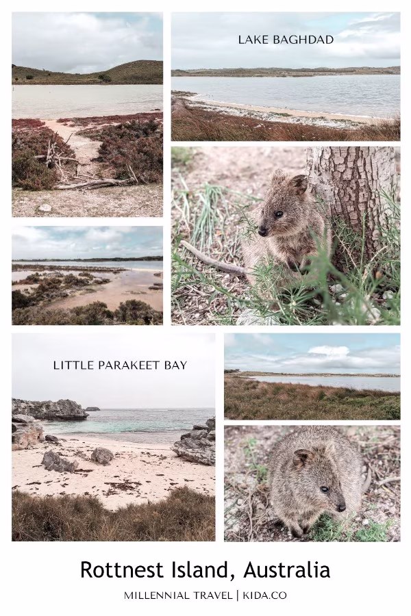 Things To Do on Rottnest Island Little Parakeet Bay Australia Kids Family Travel Guide Kida Featured