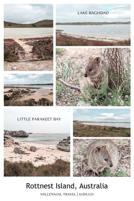 Things-To-Do-on-Rottnest-Island-Little-Parakeet-Bay-Australia-Kids-Family-Travel-Guide