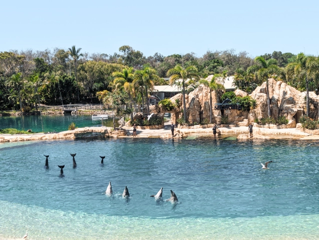 Gold Coast Seaworld Dolphin Show Australia Queensland Travel Guide Cover