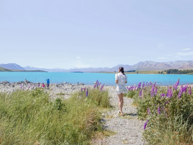 girl in lake tekapo south island new zealand world's most beautiful lake destination guide cover