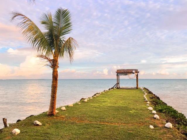 samoa romantic sunset wedding venue palm tree gazebo resort travel guide cover