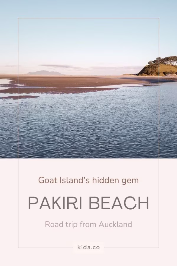 Pakiri Beach Things To Do Attraction Activities Goat Island Family Day Trip Road Trip From Auckland Featured