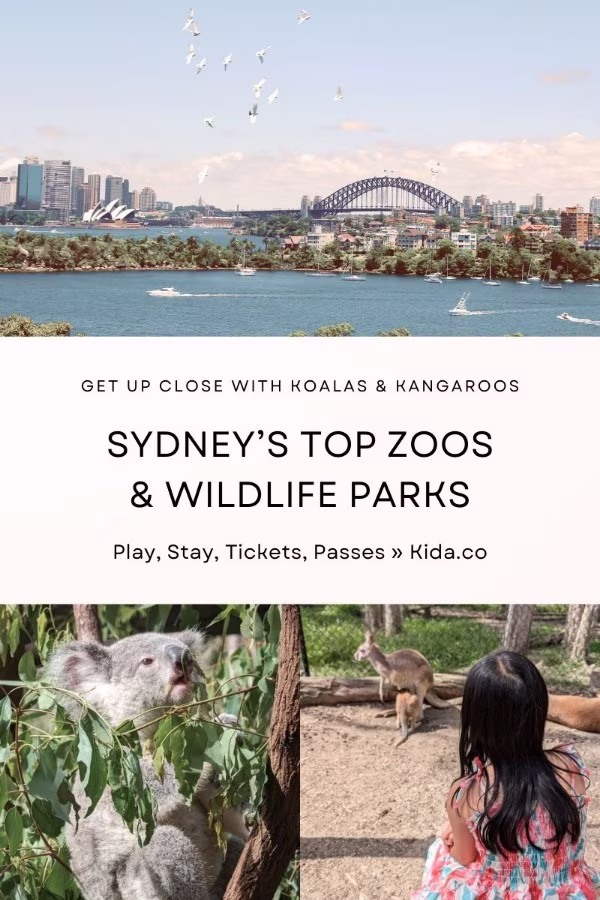 sydney zoos wildlife parks koalas kangaroos native animals nsw australia featured