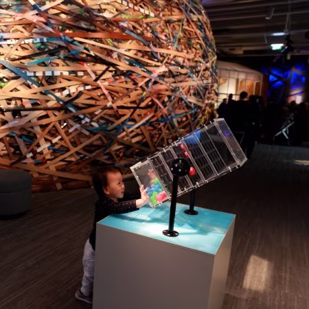 Museum of New Zealand toddler kids interactive