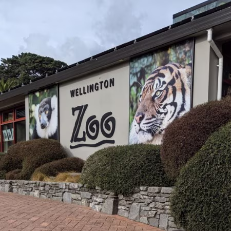 Wellington zoo 