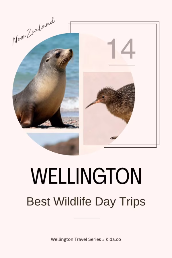 wellington best wildlife day trips featured