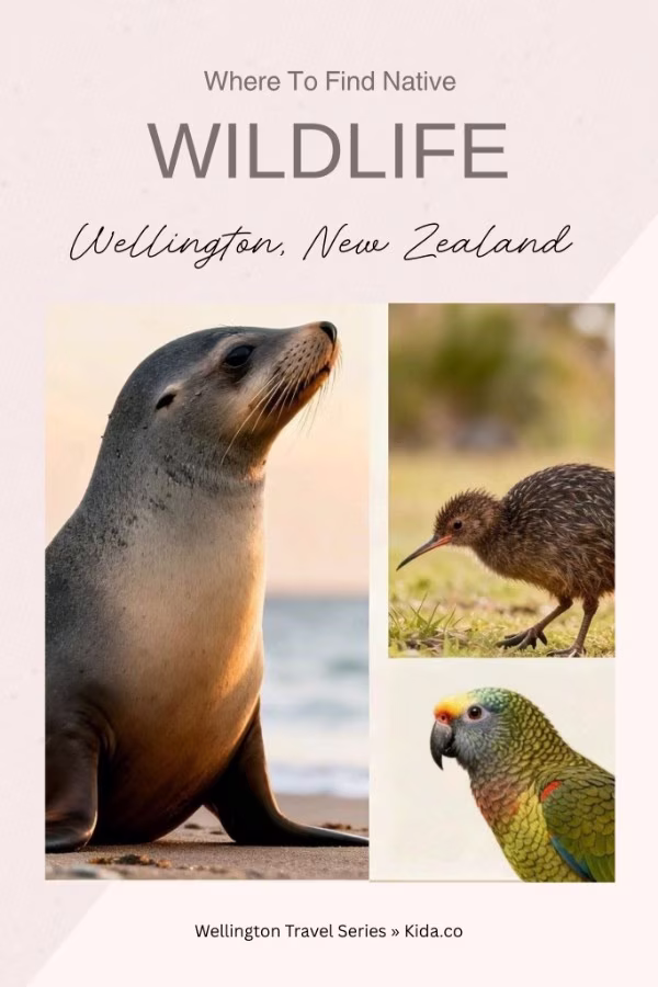 where to find wildlife in wellington day trips featured